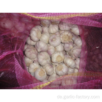 Hochwertige Bulk Knoblauch Hot Sales